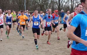 Le cross de l'IBAL (R) : LINGOLSHEIM (67)